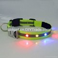 reflective dog collar with beautiful flashing LEDs 5