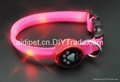 customized new design led collar for your lovely pet 3