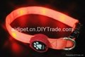 customized new design led collar for your lovely pet 4