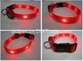 customized new design led collar for your lovely pet 5