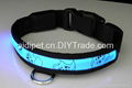 High light led pet nacklace with custom logo 3