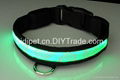 High light led pet nacklace with custom logo 4