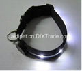 2012 hot sell led leather dog collar 1