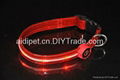 colorful high-light glow dog collars 3