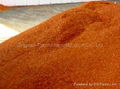 paprika powder 2