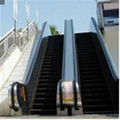 Public Escalators 1