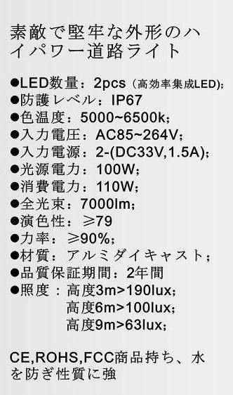 JOEL LED Street Lamp( DL1003L1)100W 4