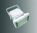 JOEL LED 投光燈 30W LED Flood light 1