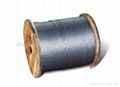 Galvanized Carbon Steel Wire 2