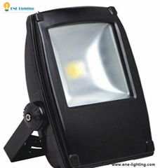 50W LED Flood Light