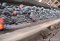 High Temperature Resistant Conveyor Belt