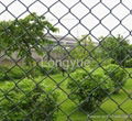 Chain Link Fence