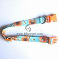 2012 Best Selling top  desinger of pet dog collars 