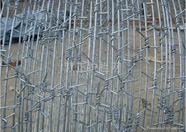 barbed wire 5