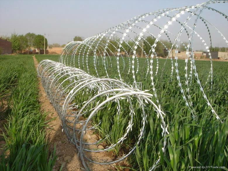 razor barbed wire