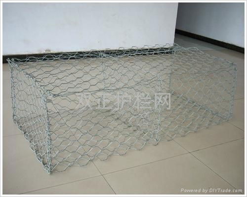 hexagonal wire mesh