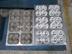 Fruit tray mold