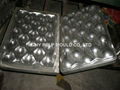 Fruit tray mould