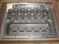 egg carton mould