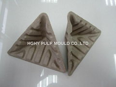 Pulp molded product