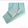 2012 CE&ISO Approved China Medical Disposable Underpad 1