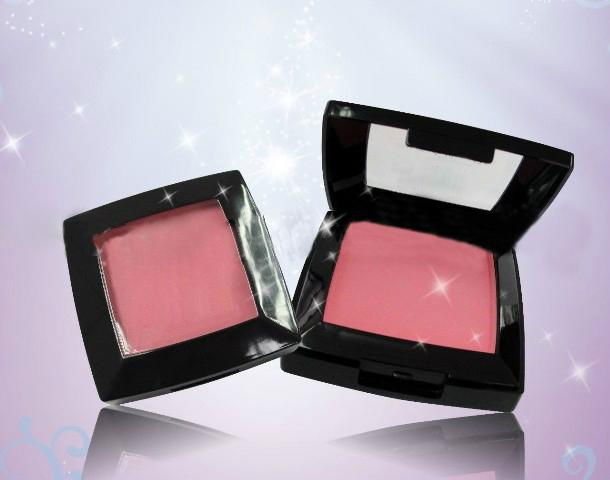 Fashion Blush, OEM and ODM Orders are Welcome 2