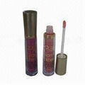 Shine Fashionable Lip Gloss, Customized