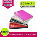 5000mAh New Design Portable Power Station For Iphone, Smart Phone, MP3/MP4 etc 1