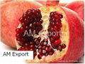 Pomegranate 1