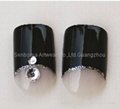 Free Shipping ABS Fashion Nail in High