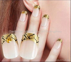 Free Shipping High Quality ABS Designed Nails