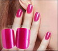 Free Shipping Deceptiong Nail Mix Order Pre Designed Nail Tips