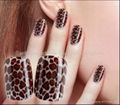 Free Shipping Nail Tips Wholesale 1