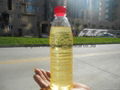 Refined Sunflower Oil  2