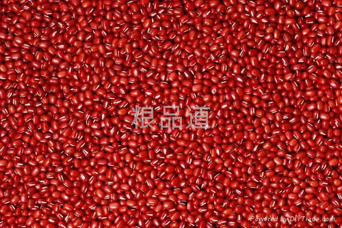 organic red bean