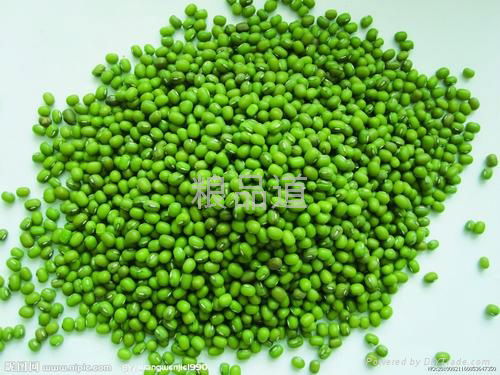 organic mung bean