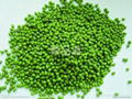 organic mung bean 1