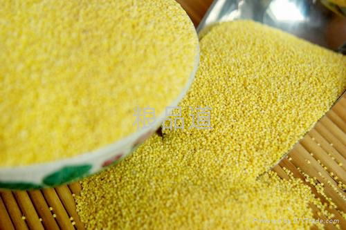 organic millet 2