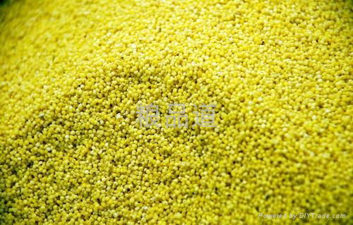 organic millet 3