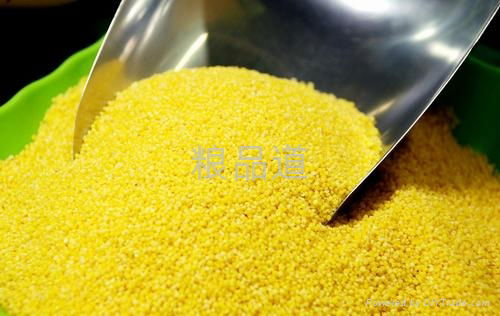 organic millet 4