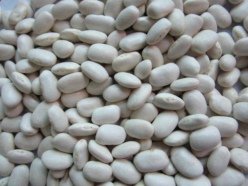 organic white kidney beans