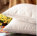 cheap duck feather pillow