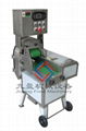 vegetable cutter TJ-305 1