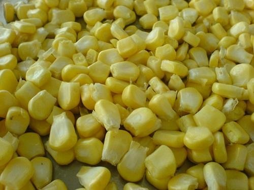 Corn Thresher TJ-368 2
