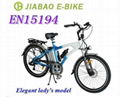 Electric bicycles 1