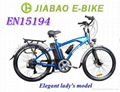 Electric bicycles 3