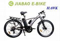 Electric bicycles 1