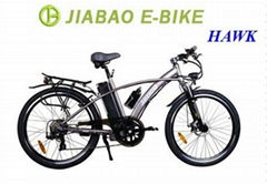 Electric bicycles