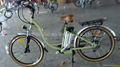 Electric bicycles 2