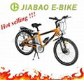 Electric bicycles 1